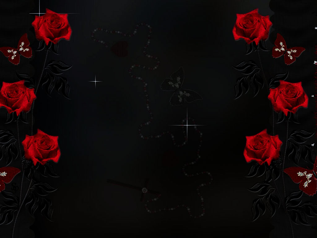 1024x768px Red Rose Black Background - WallpaperSafari