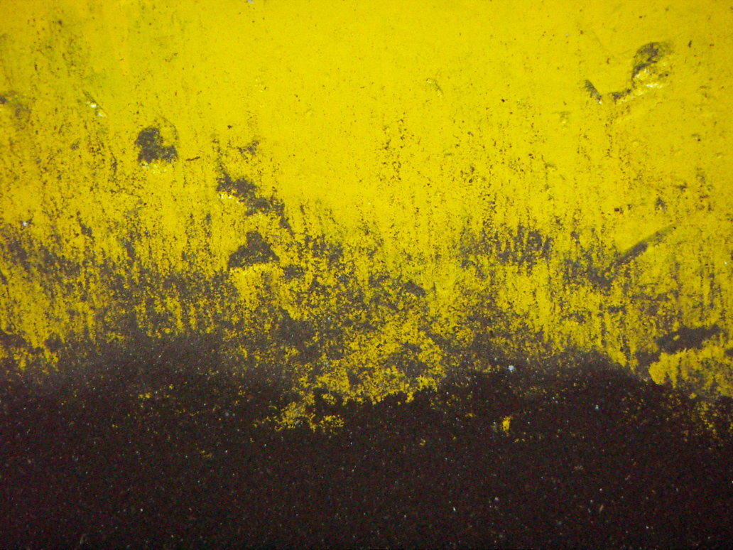  Black  And Yellow  Wallpaper  11 Background 