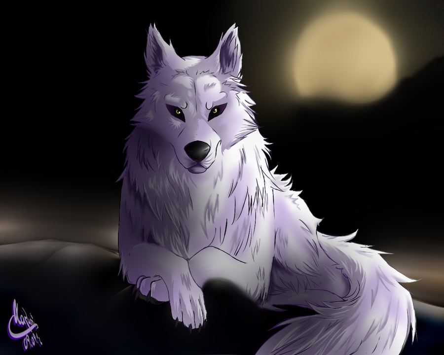 Black And White Anime Wolves 1 Cool Hd Wallpaper